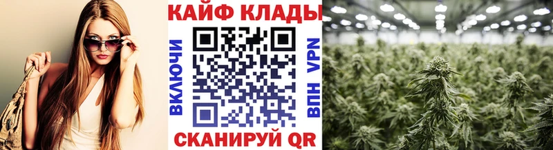 Виды наркотиков купить Ревда A PVP  Бошки Шишки  Cocaine  Меф  Гашиш 