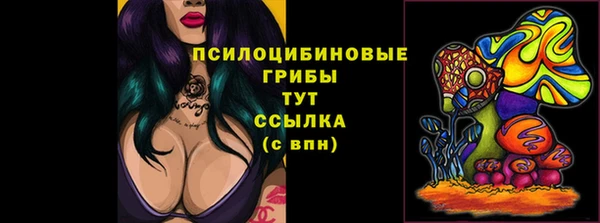 эйфоретик Алексин