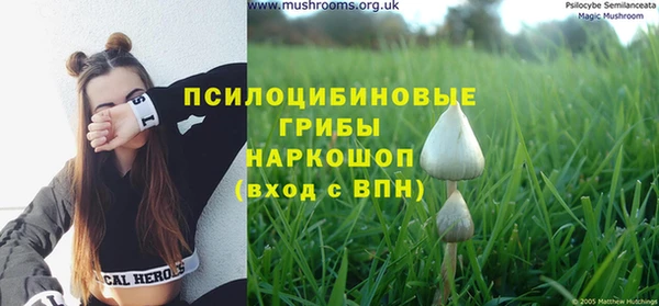 эйфоретик Алексин